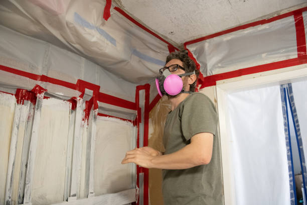 Mold Documentation for Insurance Claims in Smithfield, UT